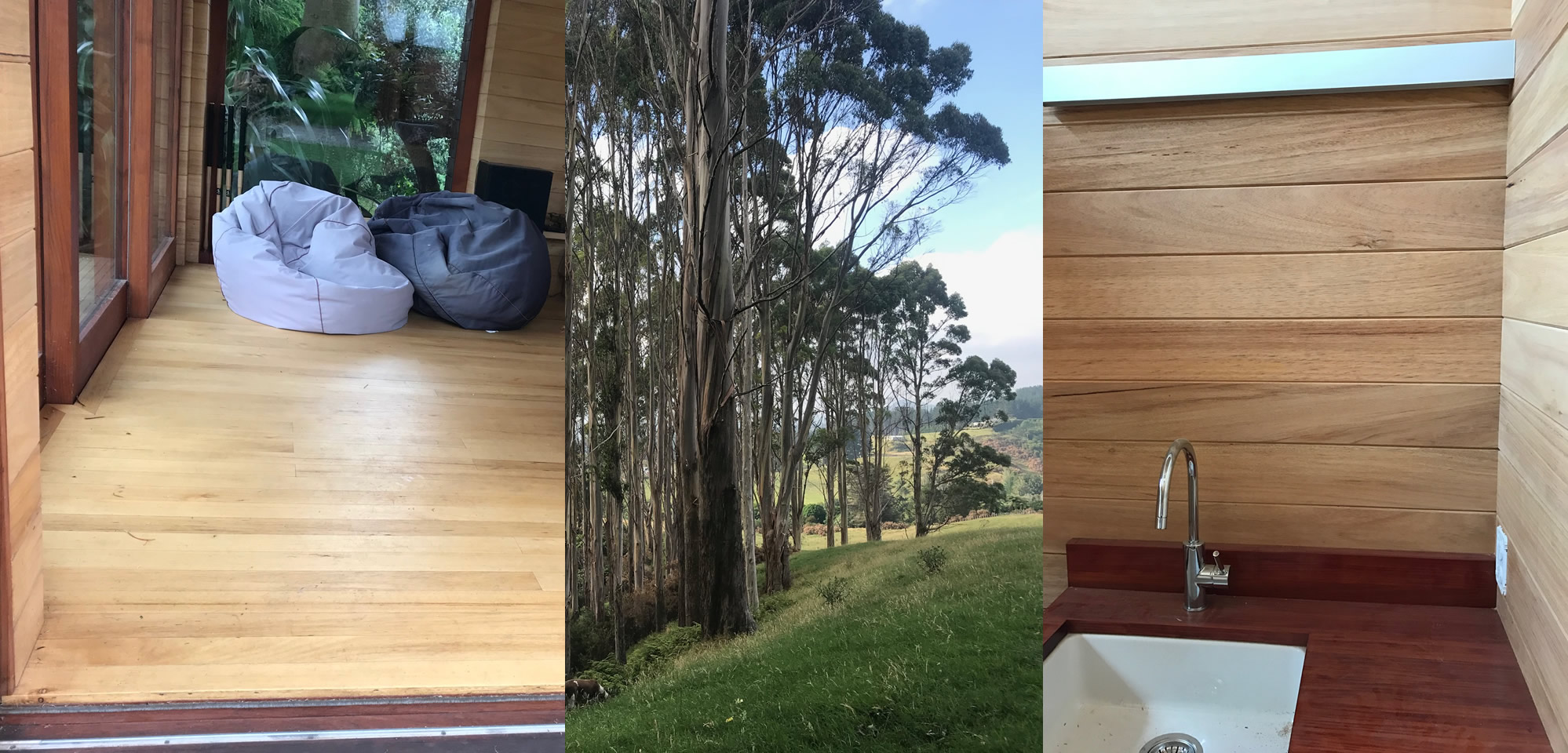Forests, Timber, Macrocarpa, Tasmanian Blackwood, Eucalyptus, Victorian Ash, Sydney Blue Gum